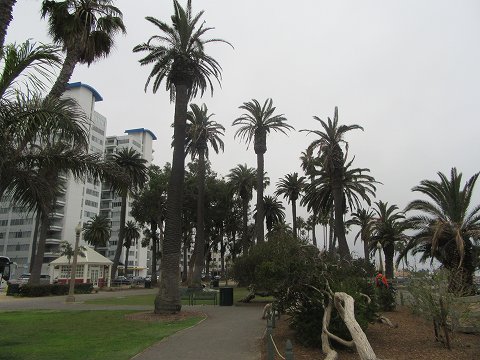 20170530-056.jpg