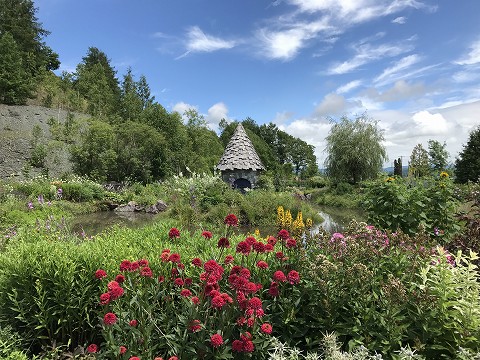 20170722-013.jpg