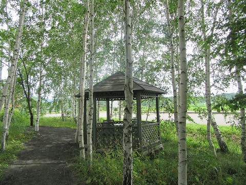 20170722-053.jpg