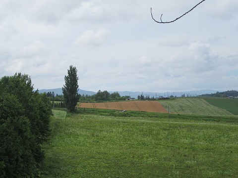 20170722-074.jpg