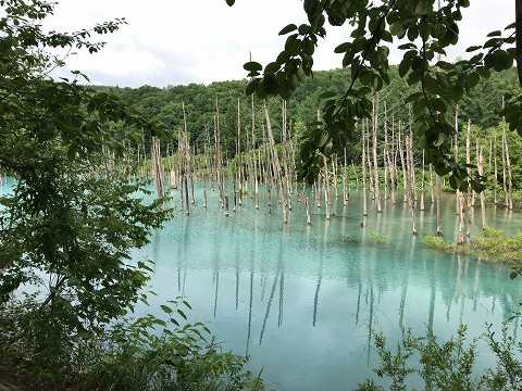 20170722-082.jpg
