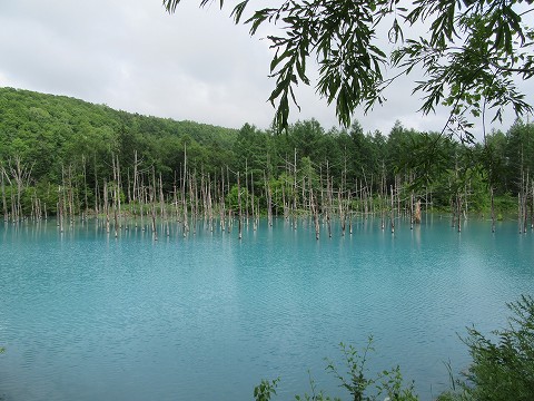 20170722-086.jpg
