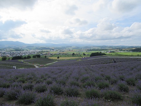 20170722-090.jpg