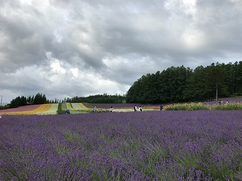 20170723-002.jpg