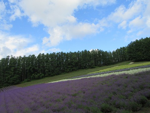20170723-008.jpg