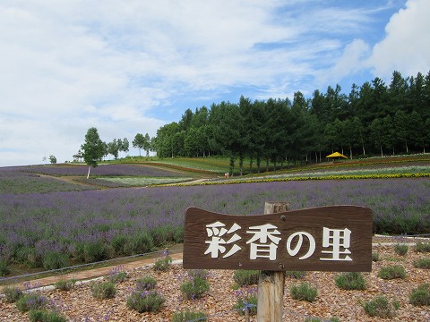 20170723-023.jpg