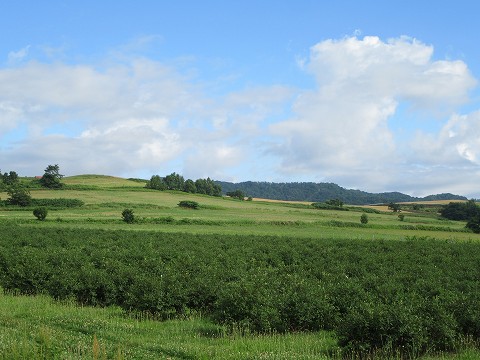 20170723-024.jpg