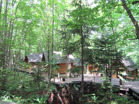 20170723-085.jpg