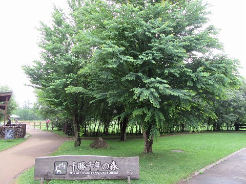 20170723-093.jpg