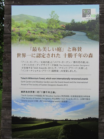 20170723-115.jpg