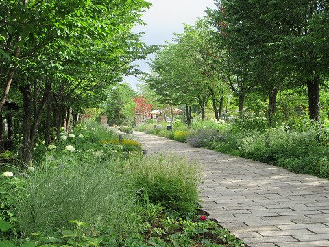 20170723-130.jpg