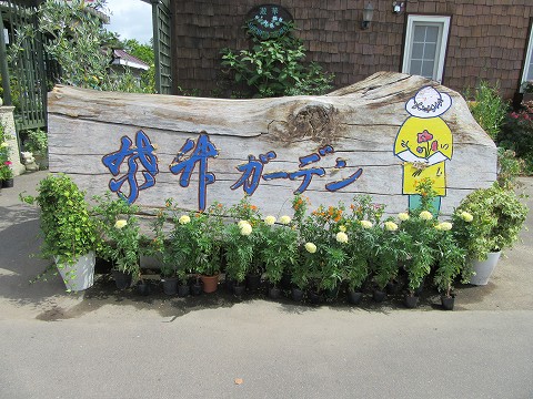 20170724-005.jpg