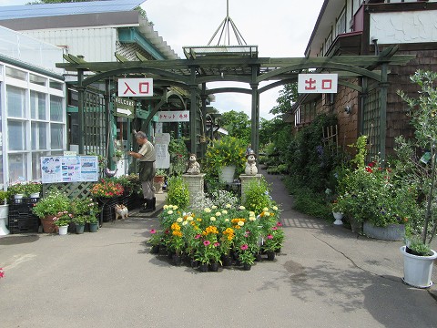 20170724-006.jpg