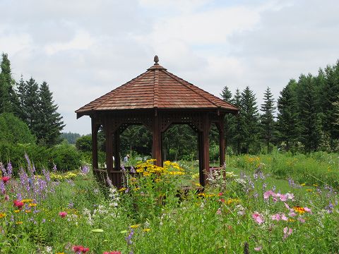 20170724-042.jpg