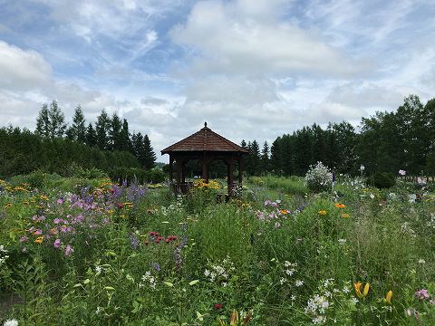 20170724-043.jpg