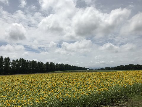 20170724-052.jpg