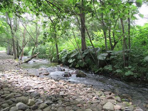 20170724-060.jpg