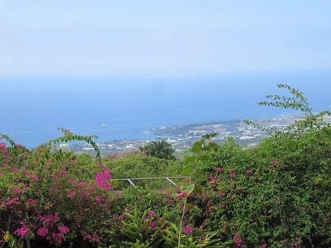 20171201-027.jpg