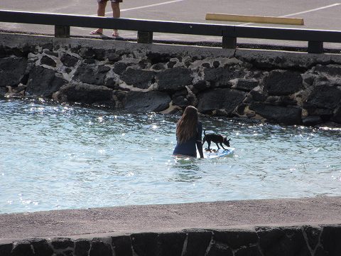 20171201-045.jpg