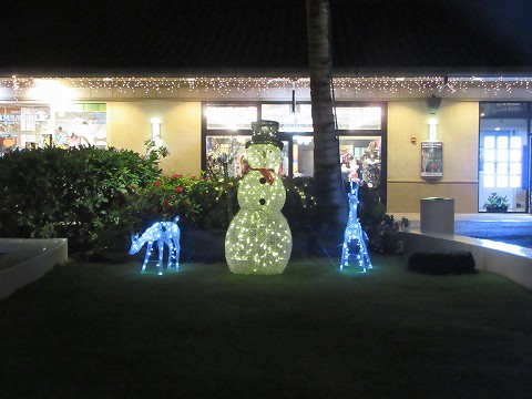 20171201-065.jpg
