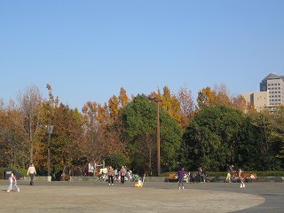 20091123-002.jpg