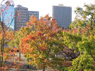 20091123-005.jpg