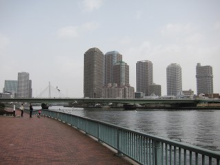 20100321-012.jpg
