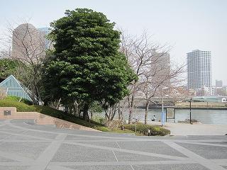 20100321-013.jpg
