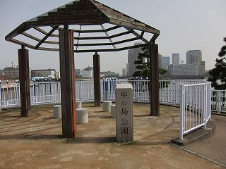 20100321-041.jpg