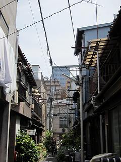 20100503-005.jpg