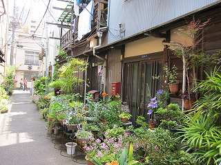 20100503-002.jpg