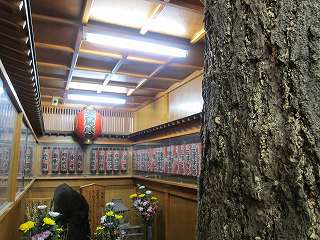 20100503-014.jpg