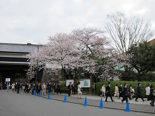 20100403-001.jpg