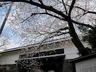 20100403-048.jpg