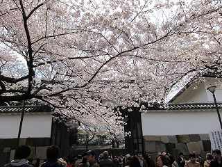 20100403-047.jpg