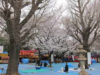 20100403-008.jpg