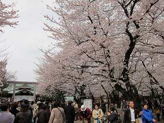 20100403-012.jpg