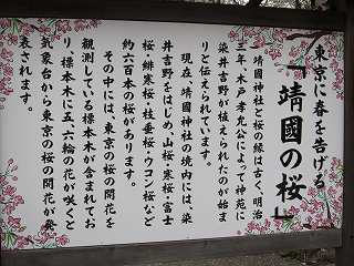 20100403-015.jpg