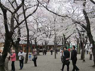20100403-016.jpg