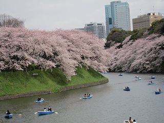20100403-029.jpg
