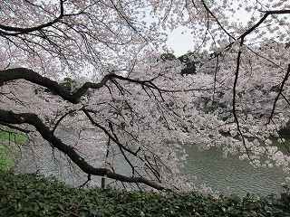 20100403-032.jpg