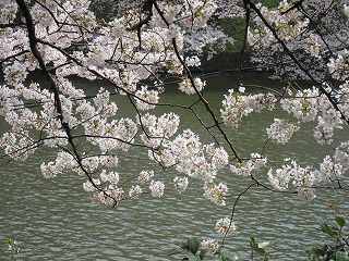 20100403-033.jpg