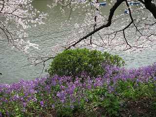20100403-036.jpg
