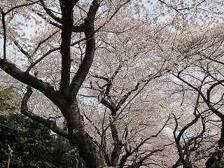 20100403-038.jpg