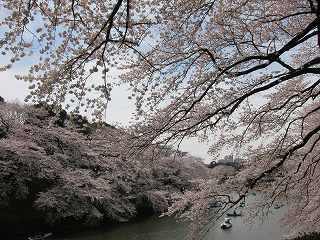 20100403-039.jpg