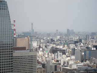 20100403-054.jpg