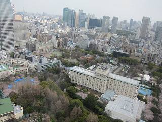 20100403-055.jpg