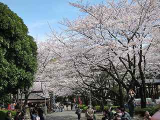 20100403-069.jpg