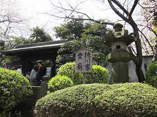 20100403-078.jpg