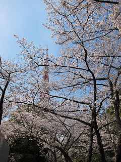 20100403-077.jpg